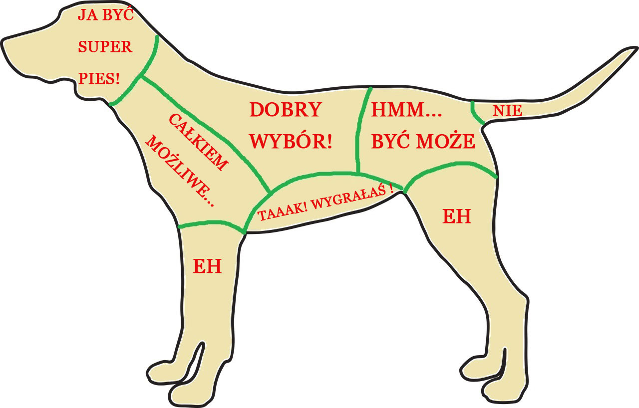 mapa głaskania psa