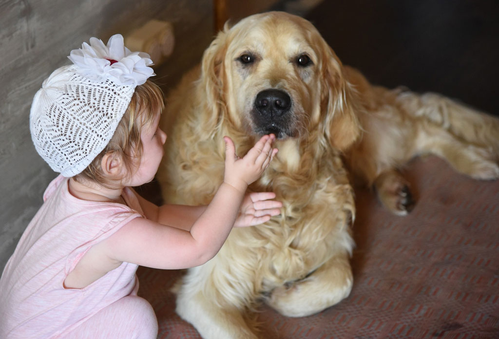 korzyści z posiadania psa - kontakt psa z dzieckiem