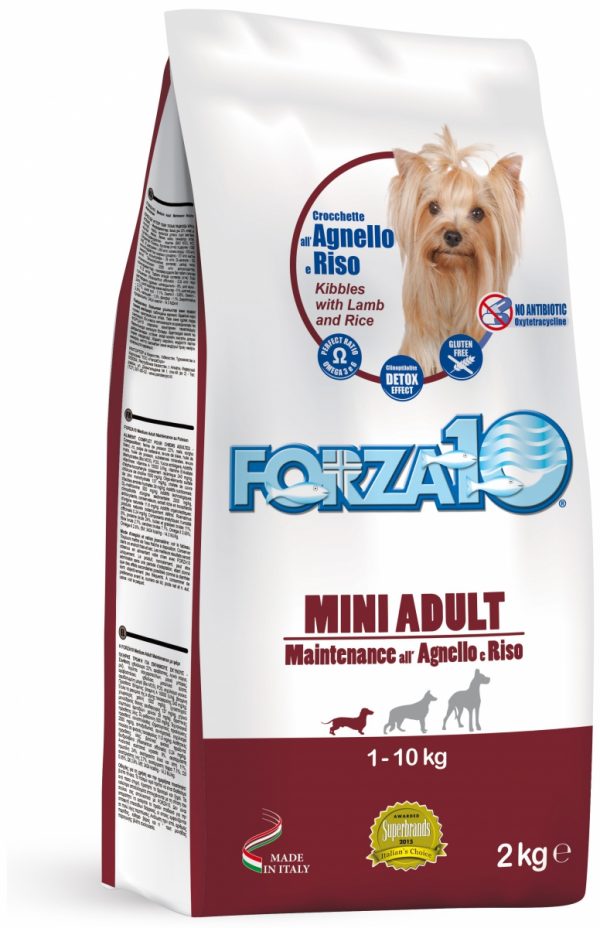 Forza10 Maintenance jagnięcina z ryżem MINI 2kg - sucha karma dla psa