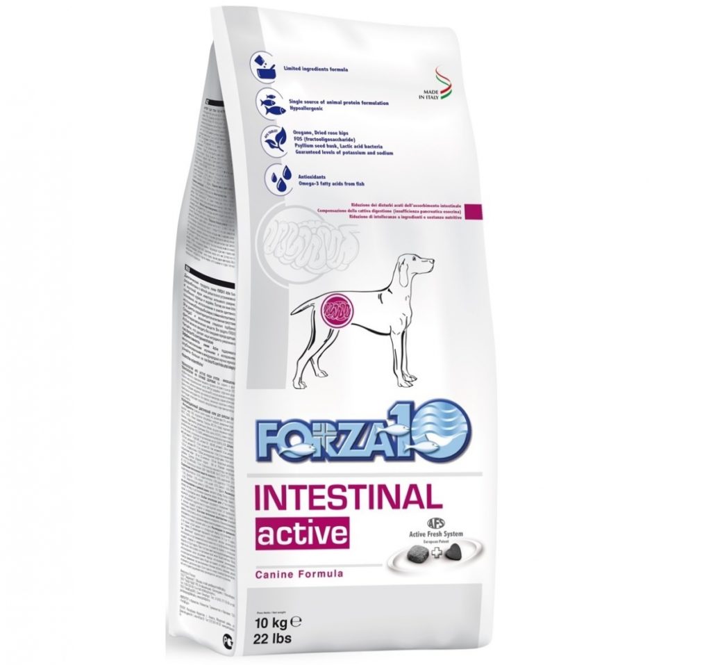 Forza10 Intestinal Active 10kg Jelita Układ Pokarmowy - sucha karma dla psa