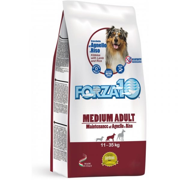 Forza10 Medium maintenance jagnięcina z ryżem 15kg - sucha karma dla psa