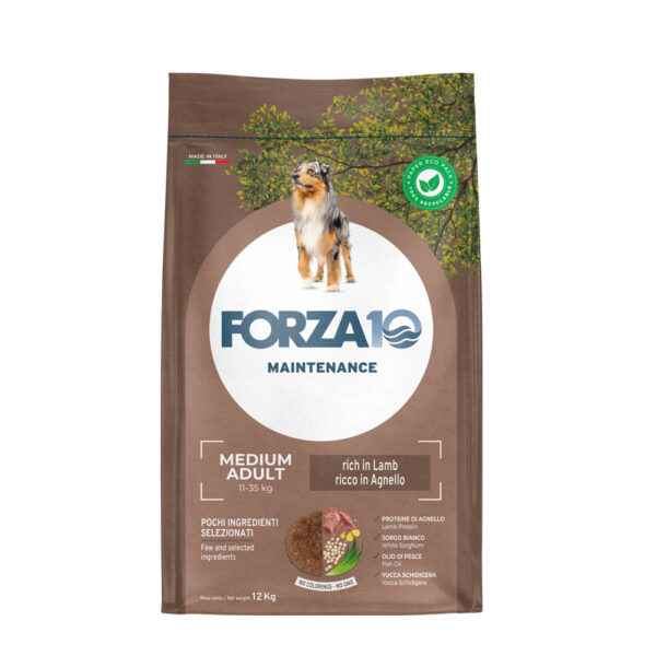 Forza10 Medium Maintenance c - sucha karma dla psa