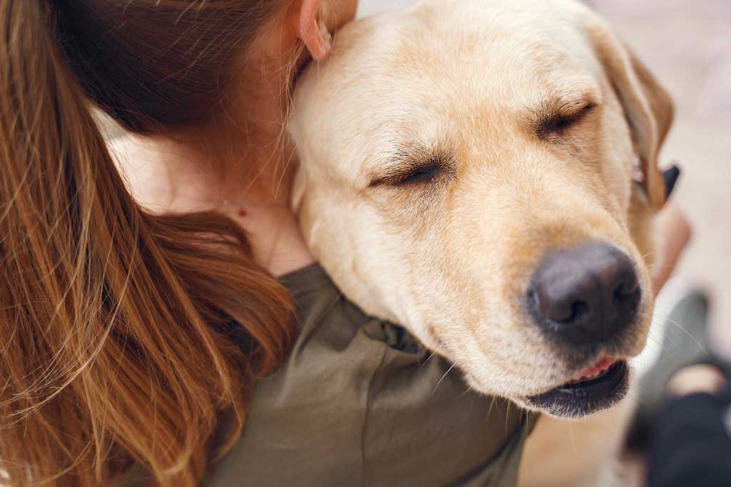 Jak pomóc psu w Sylwestra -okaż psu dużo czułości