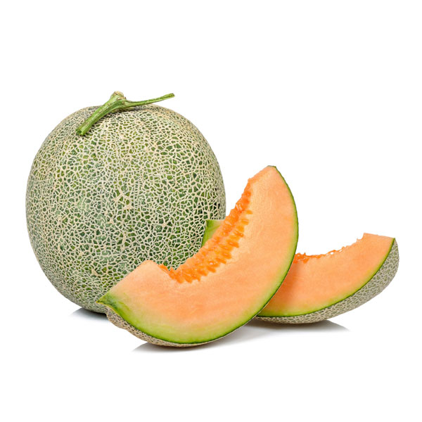 melon cucumis melo