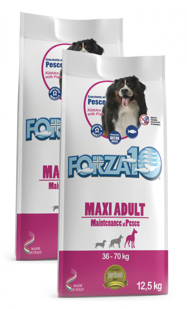 Forza10 Maxi Maintenance z rybą 25kg - sucha karma dla psa