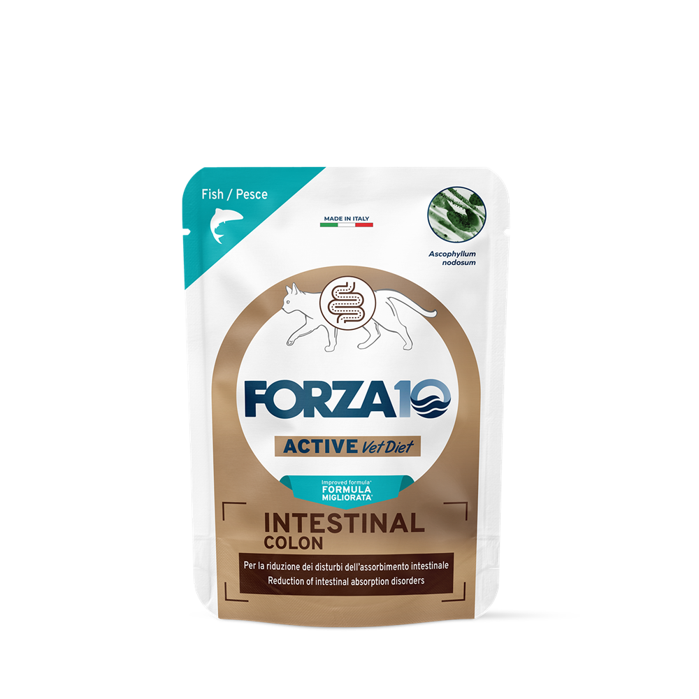 Forza10 Intestinal Colon Jelita - mokra karma dla kota 1 Forza10 Intestinal Colon Jelita - mokra karma dla kota
