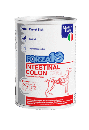 Forza10 Intestinal Colon Actiwet dla psa